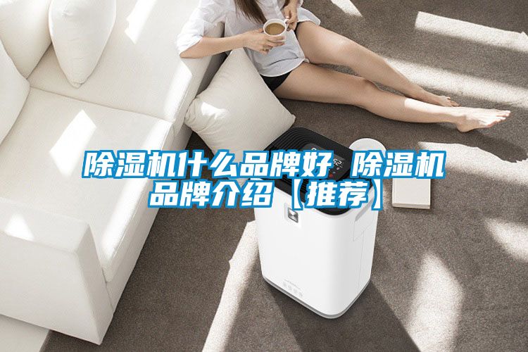国产精品欧美激情视频 除湿机什么品牌好 除湿机品牌介绍【推荐】