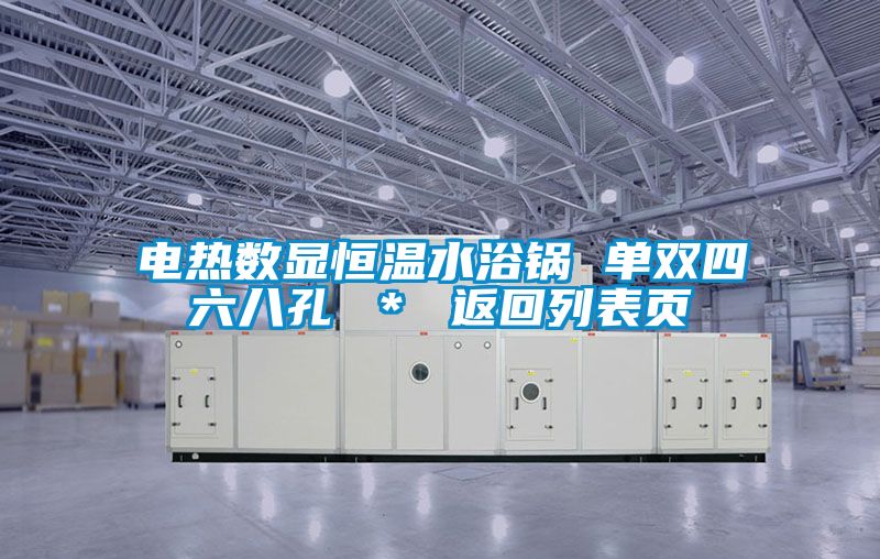 国产精品探花在线观看 电热数显恒温水浴锅 单双四六八孔 ＊ 返回列表页