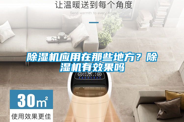 国产精品三级在线观看 除湿机应用在那些地方？除湿机有效果吗