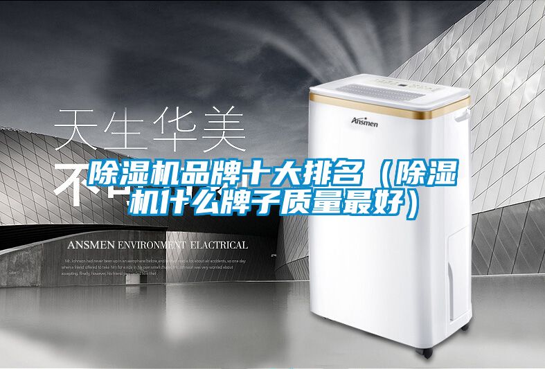 国产精品欧美激情视频 除湿机品牌十大排名（除湿机什么牌子质量最好）