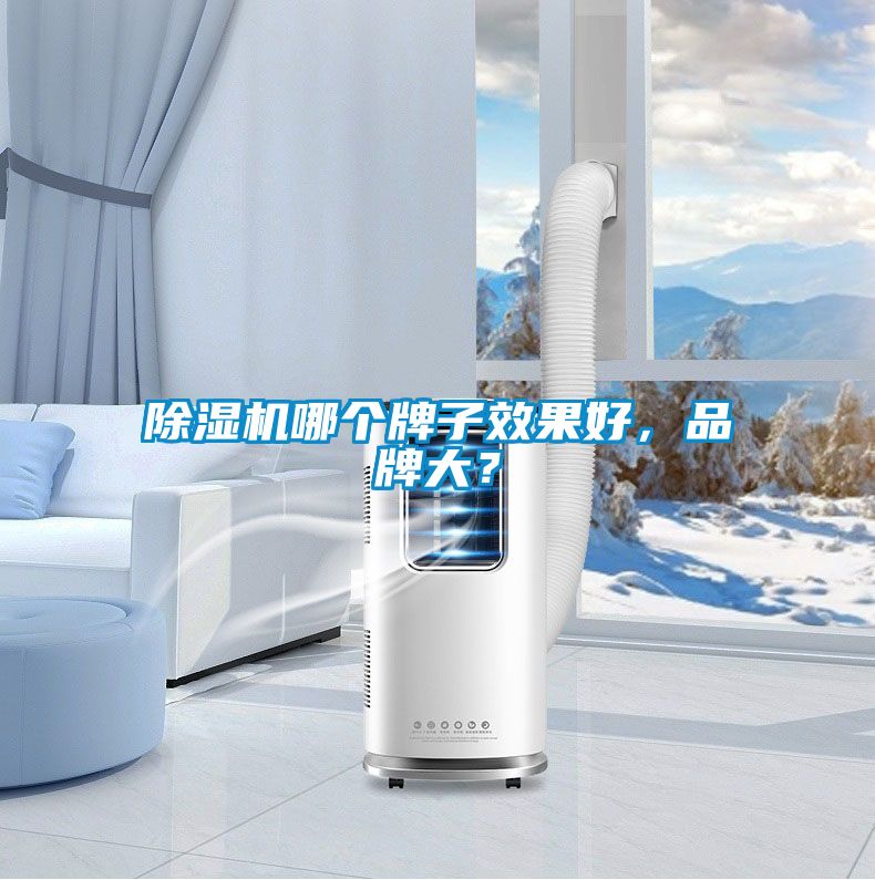 国产精品三级在线观看 除湿机哪个牌子效果好，品牌大？