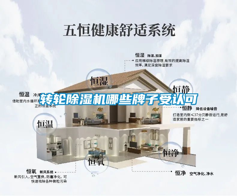国产精品探花在线观看 转轮除湿机哪些牌子受认可