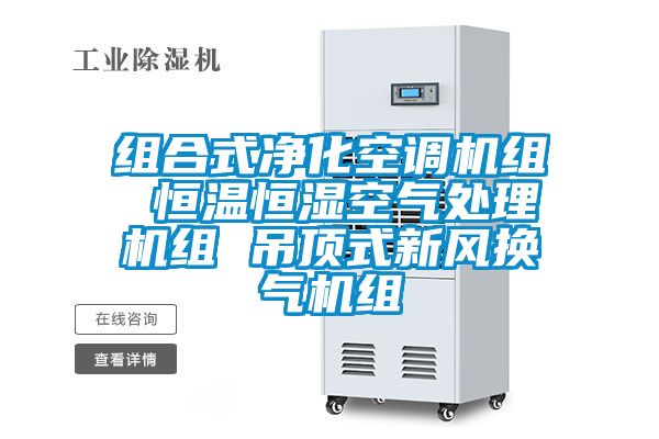 国产精品探花在线观看 组合式净化空调机组 恒温恒湿空气处理机组 吊顶式新风换气机组