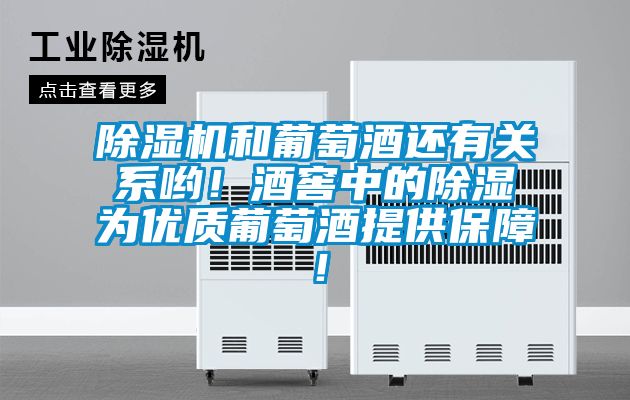 国产精品三级在线观看 除湿机和葡萄酒还有关系哟！酒窖中的除湿为优质葡萄酒提供保障！