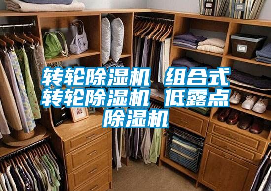 国产精品三级在线观看 转轮除湿机 组合式转轮除湿机 低露点除湿机