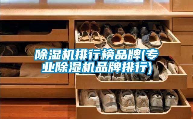 国产精品欧美激情视频 除湿机排行榜品牌(专业除湿机品牌排行)