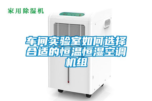 国产精品三级在线观看 车间实验室如何选择合适的恒温恒湿空调机组