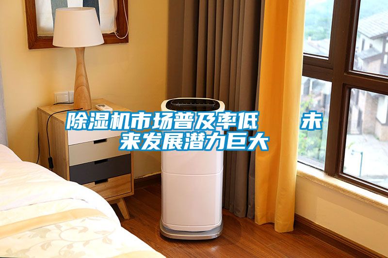 国产精品三级在线观看 除湿机市场普及率低   未来发展潜力巨大