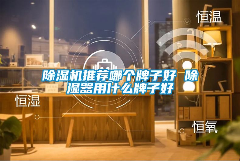 国产精品探花在线观看 除湿机推荐哪个牌子好 除湿器用什么牌子好
