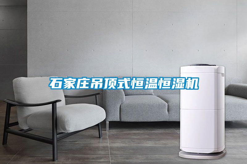 国产精品三级在线观看 石家庄吊顶式恒温恒湿机