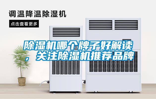 国产精品欧美激情视频 除湿机哪个牌子好解读，关注除湿机推荐品牌