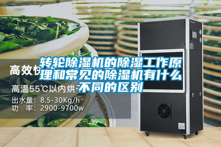 国产精品三级在线观看 转轮除湿机的除湿工作原理和常见的除湿机有什么不同的区别