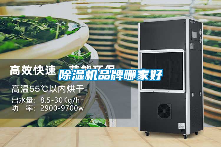 国产精品欧美激情视频 除湿机品牌哪家好