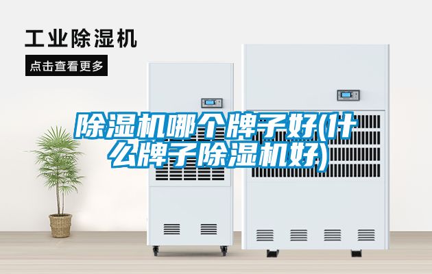 国产精品欧美激情视频 除湿机哪个牌子好(什么牌子除湿机好)