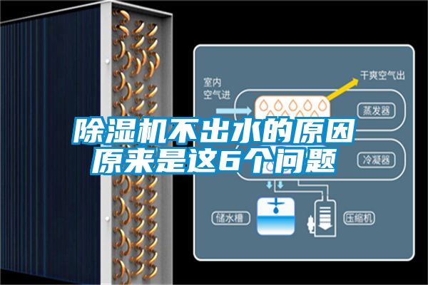 国产精品探花在线观看 除湿机不出水的原因原来是这6个问题