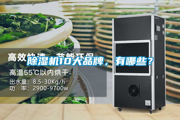 国产精品三级在线观看 除湿机10大品牌，有哪些？