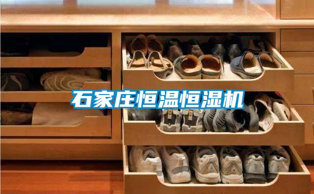 国产精品探花在线观看 石家庄恒温恒湿机