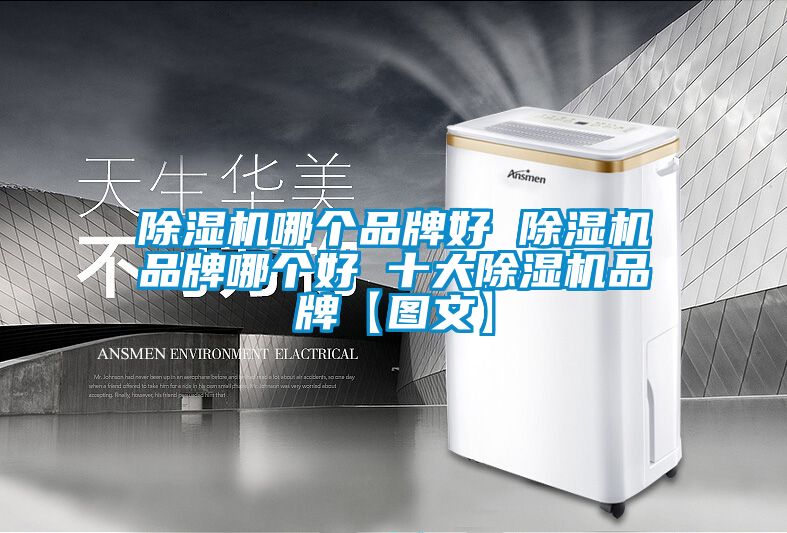 国产精品欧美激情视频 除湿机哪个品牌好 除湿机品牌哪个好 十大除湿机品牌【图文】
