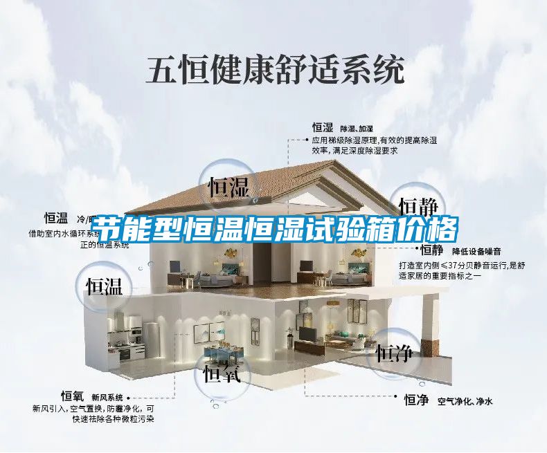 国产精品三级在线观看 节能型恒温恒湿试验箱价格