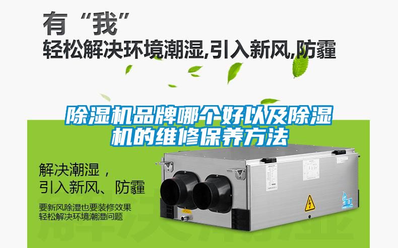 国产精品三级在线观看 除湿机品牌哪个好以及除湿机的维修保养方法