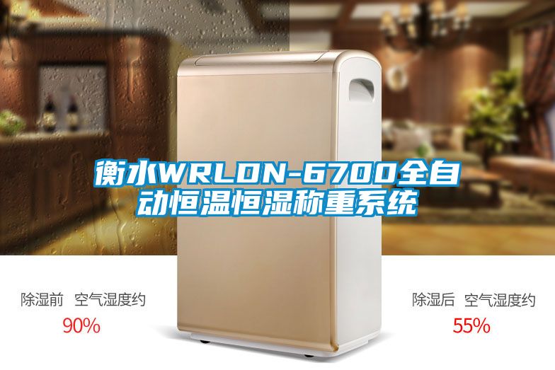 国产精品探花在线观看 衡水WRLDN-6700全自动恒温恒湿称重系统