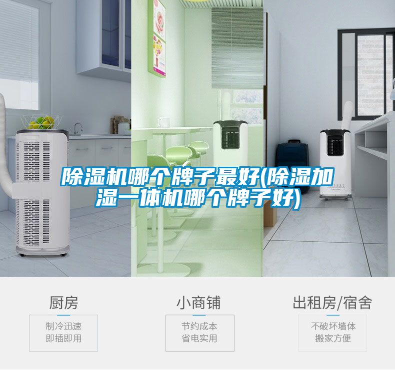 国产精品探花在线观看 除湿机哪个牌子最好(除湿加湿一体机哪个牌子好)