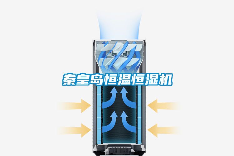 国产精品三级在线观看 秦皇岛恒温恒湿机