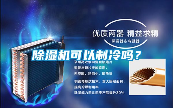 国产精品欧美激情视频 除湿机可以制冷吗？