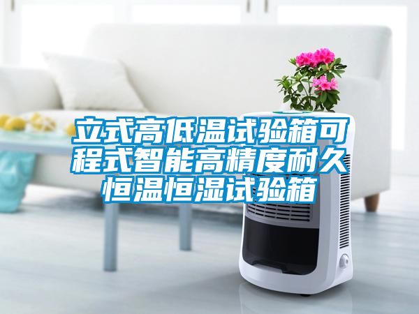 国产精品三级在线观看 立式高低温试验箱可程式智能高精度耐久恒温恒湿试验箱