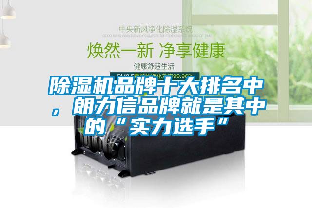 国产精品三级在线观看 除湿机品牌十大排名中，朗力信品牌就是其中的“实力选手”