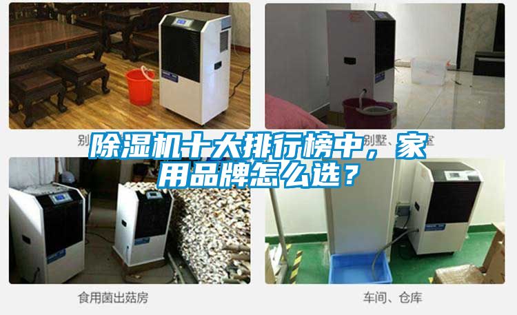 国产精品三级在线观看 除湿机十大排行榜中，家用品牌怎么选？