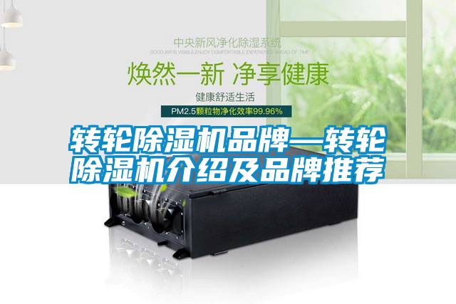 国产精品三级在线观看 转轮除湿机品牌—转轮除湿机介绍及品牌推荐