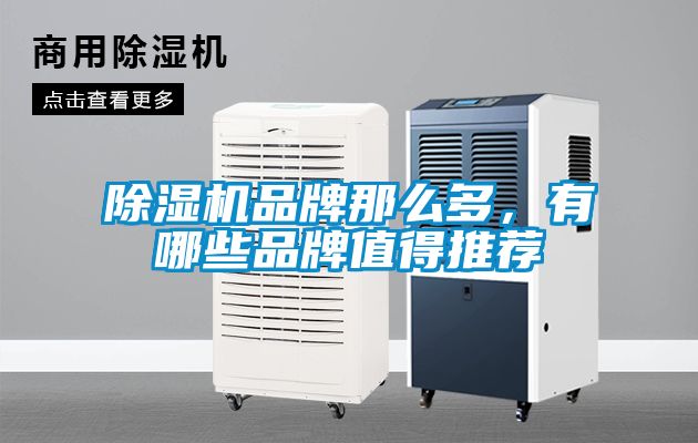 国产精品三级在线观看 除湿机品牌那么多，有哪些品牌值得推荐