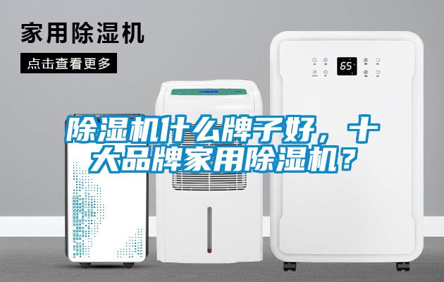国产精品探花在线观看 除湿机什么牌子好，十大品牌家用除湿机？