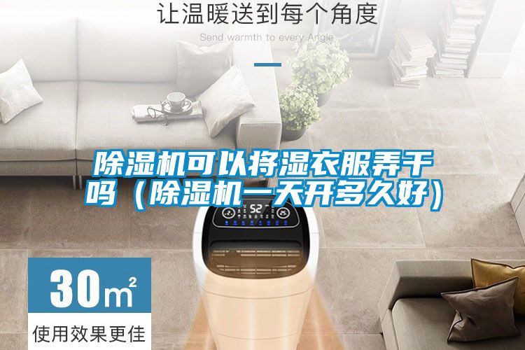 国产精品三级在线观看 除湿机可以将湿衣服弄干吗（除湿机一天开多久好）