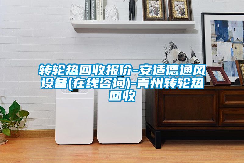 国产精品三级在线观看 转轮热回收报价-安适德通风设备(在线咨询)-青州转轮热回收