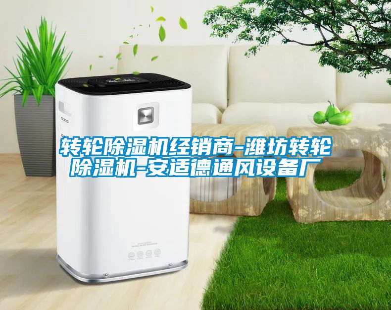 国产精品探花在线观看 转轮除湿机经销商-潍坊转轮除湿机-安适德通风设备厂