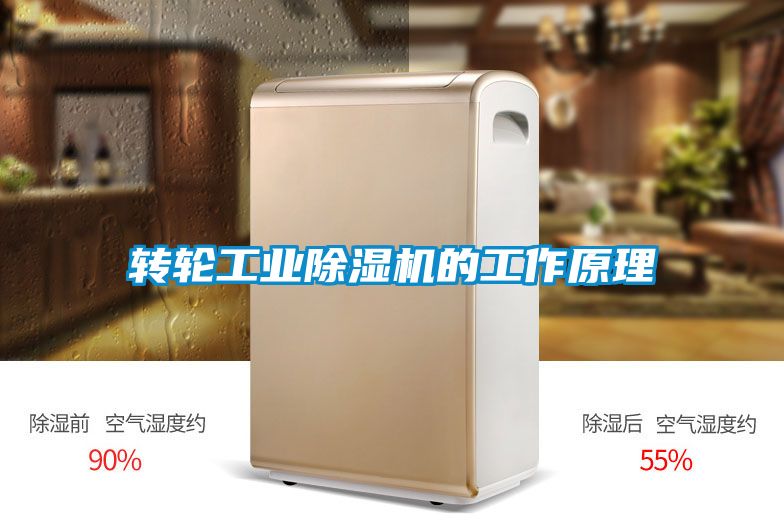 国产精品探花在线观看 转轮工业除湿机的工作原理