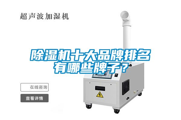 国产精品欧美激情视频 除湿机十大品牌排名有哪些牌子？