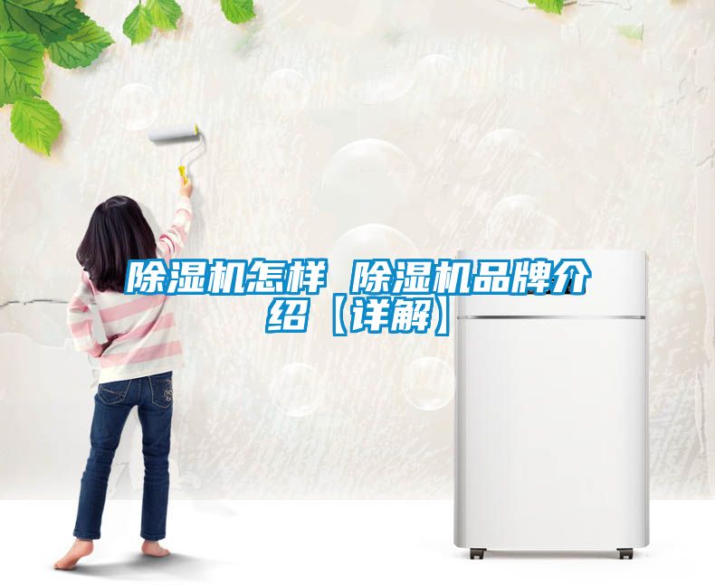 国产精品欧美激情视频 除湿机怎样 除湿机品牌介绍【详解】