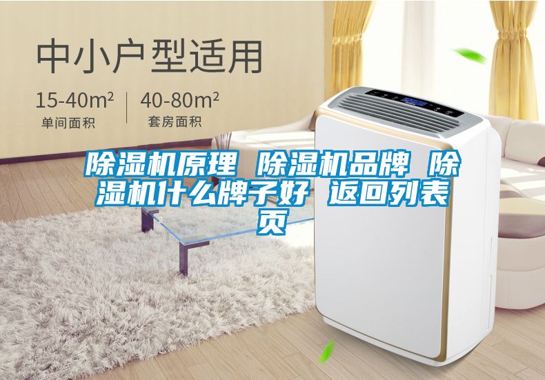 国产精品欧美激情视频 除湿机原理 除湿机品牌 除湿机什么牌子好 返回列表页