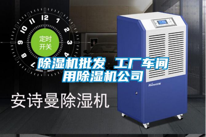国产精品欧美激情视频 除湿机批发 工厂车间用除湿机公司