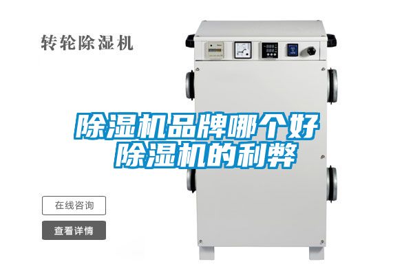 国产精品三级在线观看 除湿机品牌哪个好 除湿机的利弊