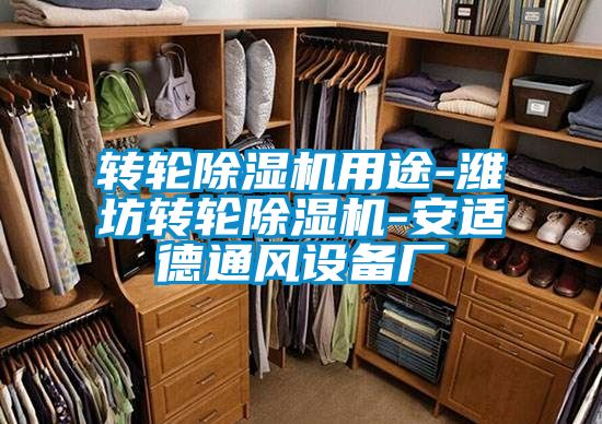 国产精品三级在线观看 转轮除湿机用途-潍坊转轮除湿机-安适德通风设备厂