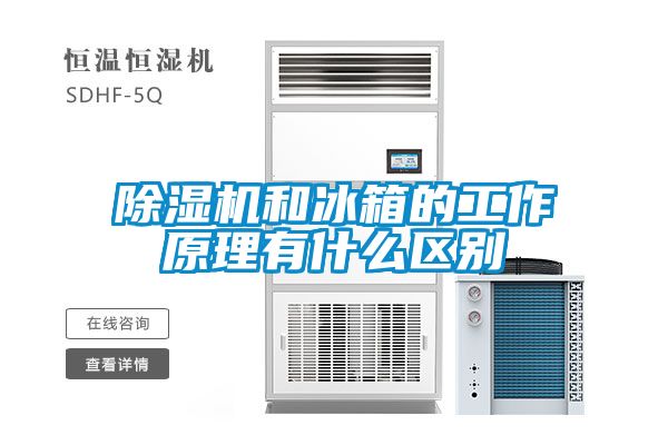 国产精品探花在线观看 除湿机和冰箱的工作原理有什么区别