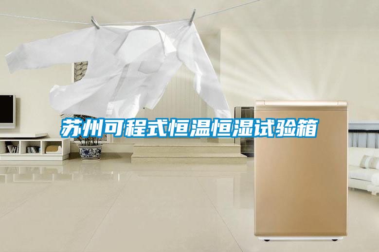 国产精品三级在线观看 苏州可程式恒温恒湿试验箱