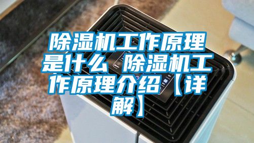 国产精品欧美激情视频 除湿机工作原理是什么 除湿机工作原理介绍【详解】