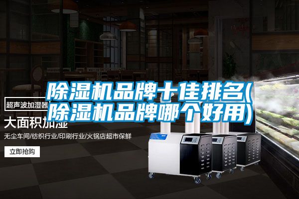 国产精品探花在线观看 除湿机品牌十佳排名(除湿机品牌哪个好用)