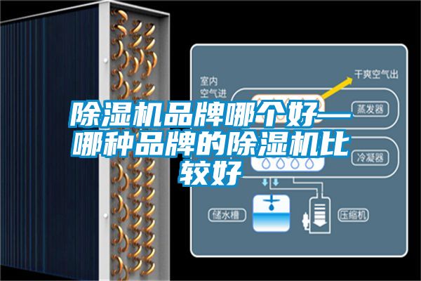 国产精品欧美激情视频 除湿机品牌哪个好—哪种品牌的除湿机比较好