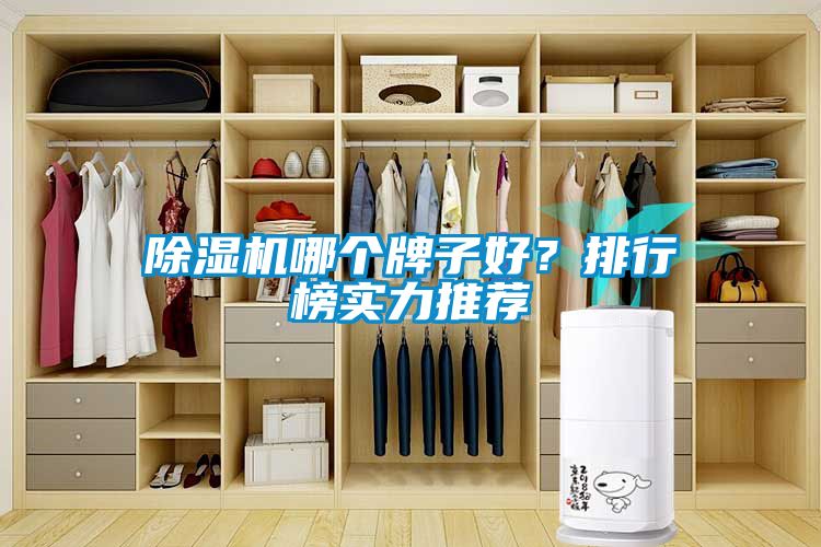 国产精品三级在线观看 除湿机哪个牌子好？排行榜实力推荐